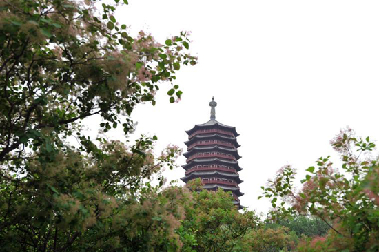 北京园博会进入倒计时 北京园博会进入倒计时