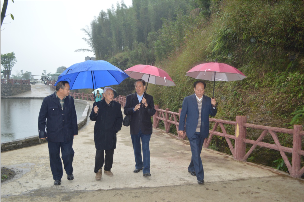 中国文化进万家---红色专家考察长宁县红色旅游发展 中国文化进万家---红色专家考察长宁县红色旅游发展