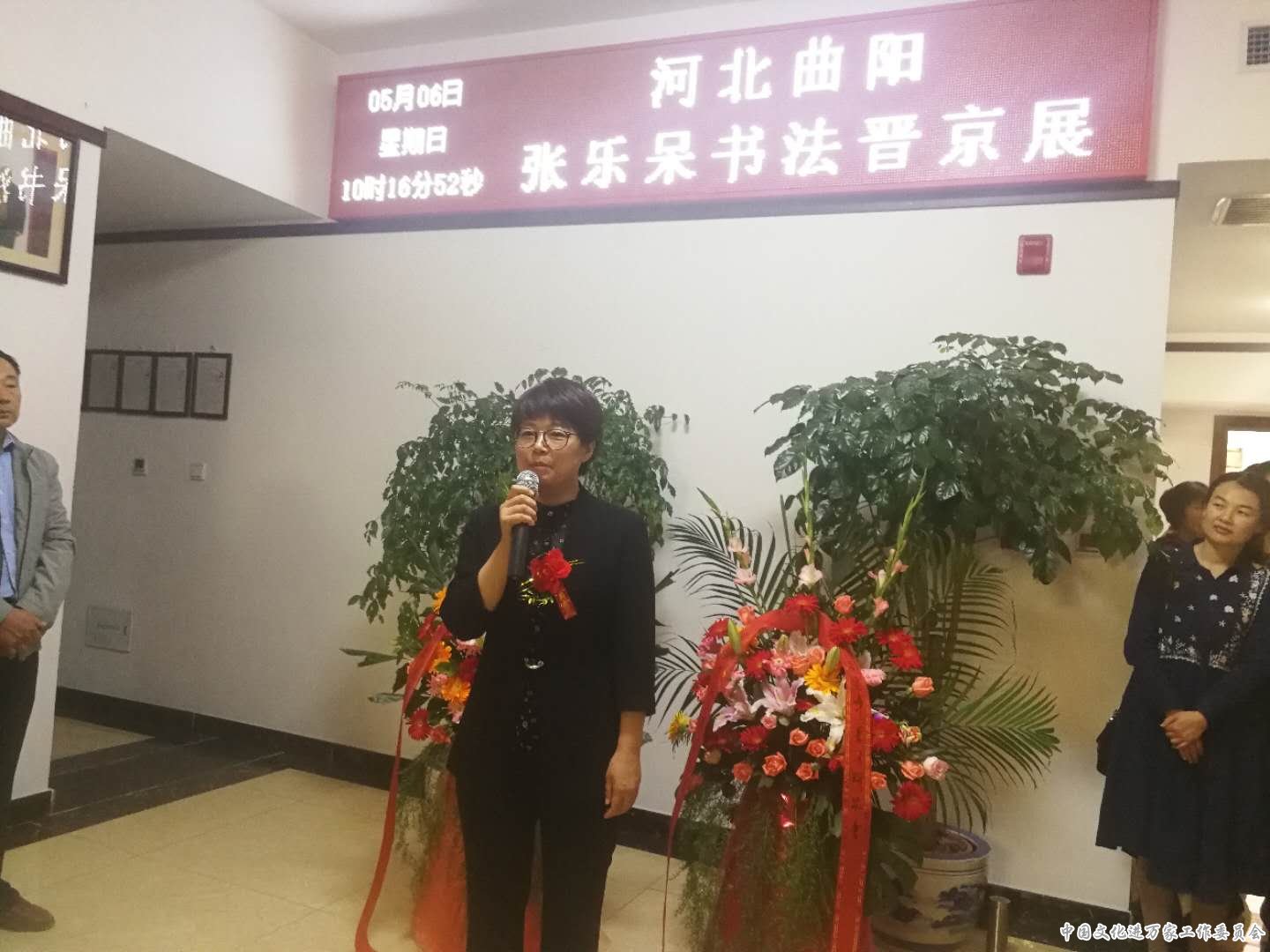 鷨ִ鷨չ